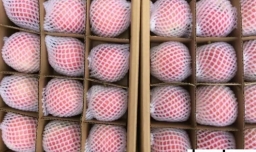 苹果保鲜的方式有哪些