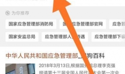 怎样查询特种作业操作证