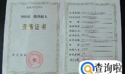 什么是一般纳税人、一般纳税人是什么意思？