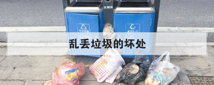 乱丢垃圾的坏处
