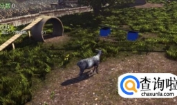 模拟山羊怎么获得反重力羊