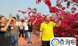 广州市白云区赏花景点推荐