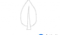 简笔画树林的画法