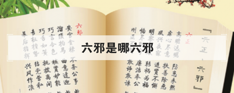 六邪是哪六邪