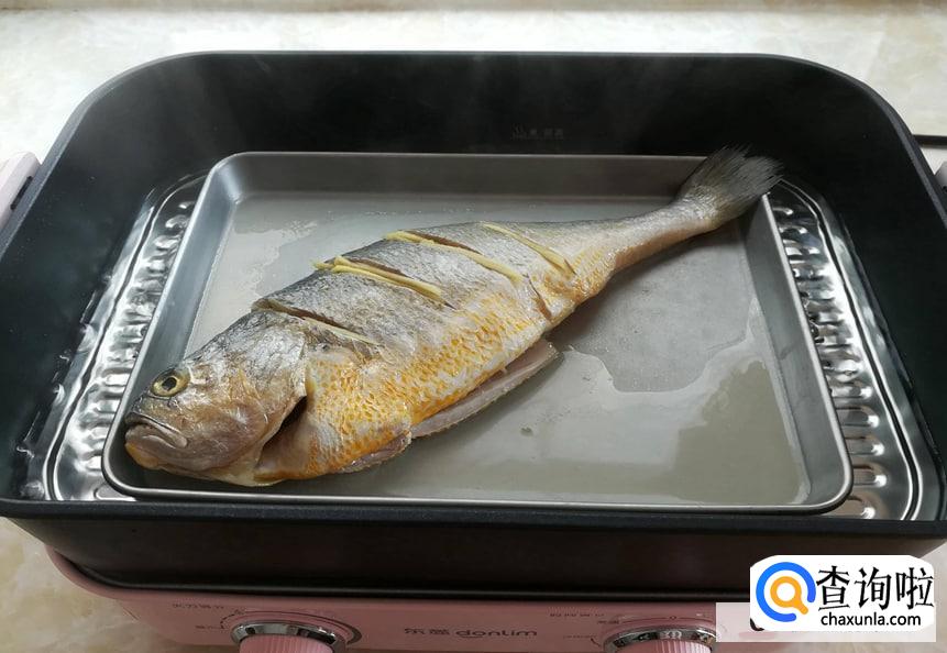 鱼那个部位的肉好吃