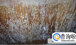 木头家具发霉怎么处理比较好