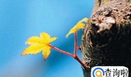 如何保持好的心态避免心理疾病？