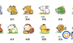 十二生肖婚姻配对哪几种最好