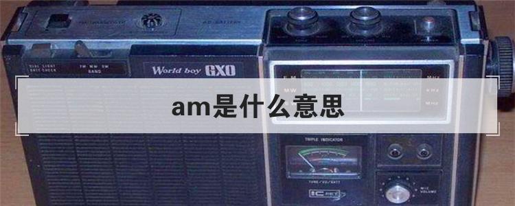 am是什么意思