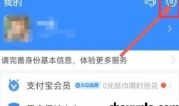 支付宝如何开启收钱到账语音提醒功能