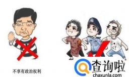 刑罚中剥夺政治权利是指哪些权利？如何执行？