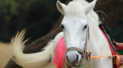 西游记中有哪些人物