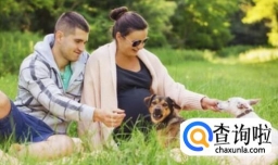孕妇养狗要注意什么 孕妇养狗注意哪些事项
