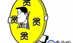 职务侵占罪与贪污罪、受贿罪怎样区分？