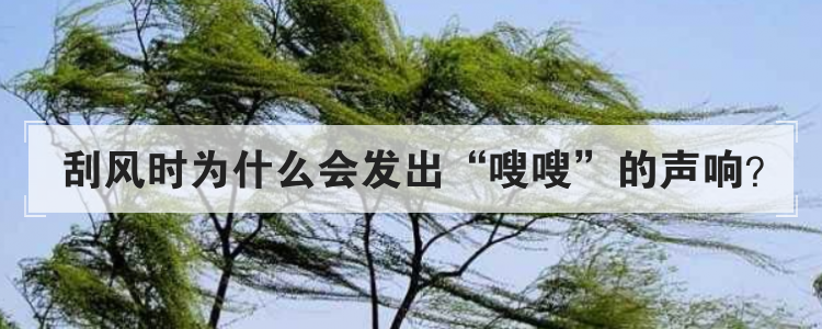 刮风时为什么会发出嗖嗖的声响