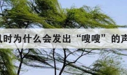 刮风时为什么会发出嗖嗖的声响