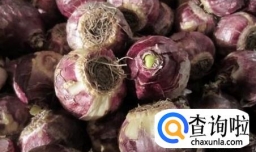 风信子怎么水养