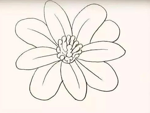 花朵简笔画