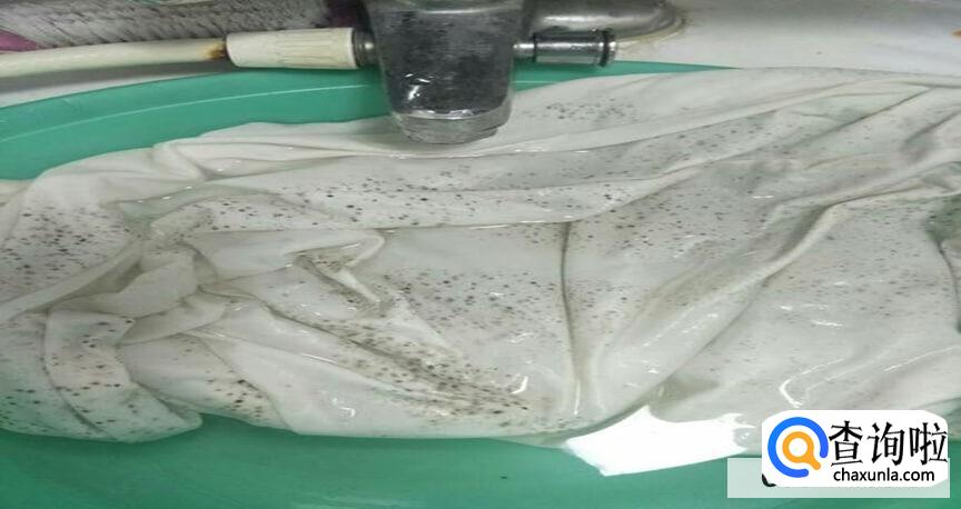 衣服发霉能洗掉吗怎么洗