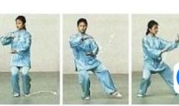 杨式太极拳野马分鬃图解