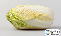 大雪节气适合吃什么好