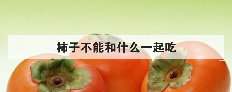 柿子不能和什么一起吃
