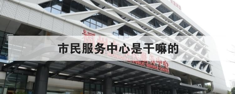 市民服务中心是干嘛的