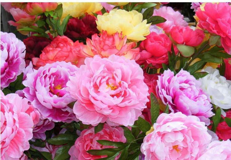 结婚证上的花为什么是牡丹花