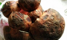 云南见手青的做法