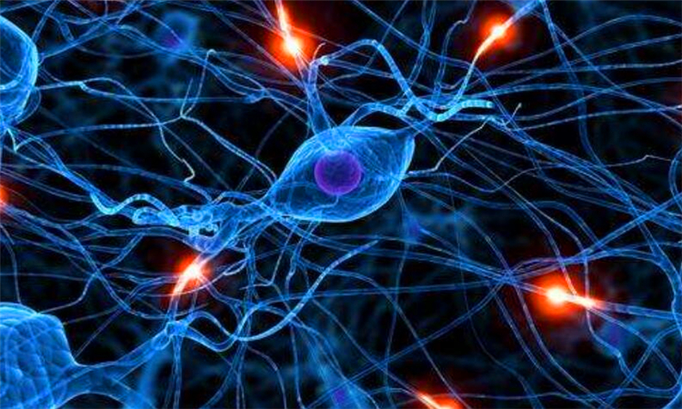 抑制是什么意思