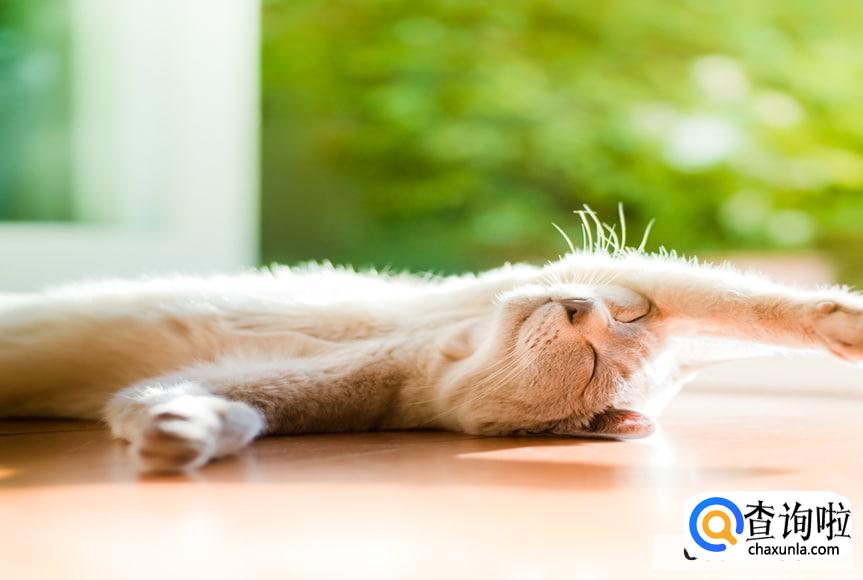 经常不晒太阳会如何