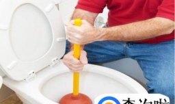 马桶掉进硬物该如何疏通