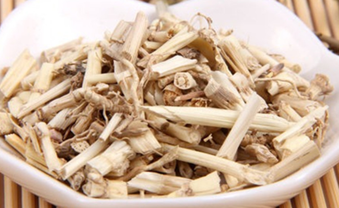 白茅根的作用与功效