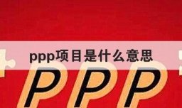 ppp项目是什么意思