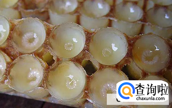 蜂王浆怎么保存