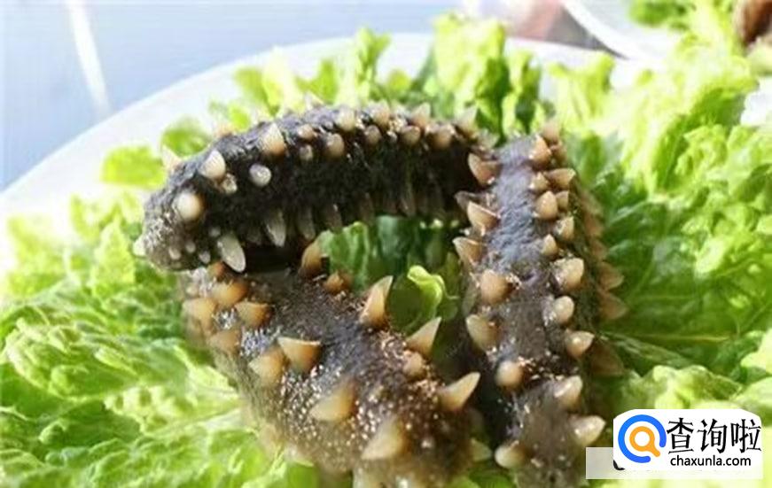 海参是怎么选购的