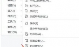 怎么设置wps输出PDF时输出页数区间