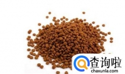 泰迪狗狗吃什么比较好