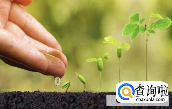 2022年你发现你改变了吗