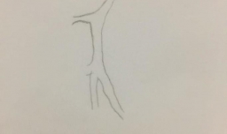 色彩单体训练——西红柿的画法