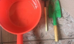 盆栽松土的方法