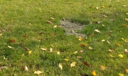 支付宝蚂蚁庄园如何与小鸡玩星星球？