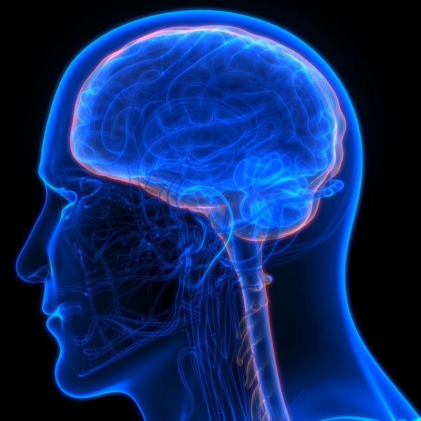 菊花茶的功效与作用