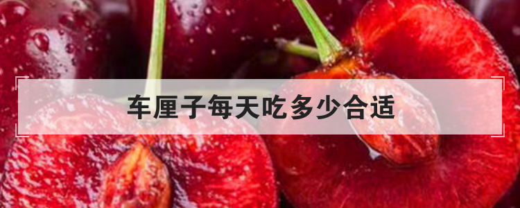 车厘子每天吃多少合适