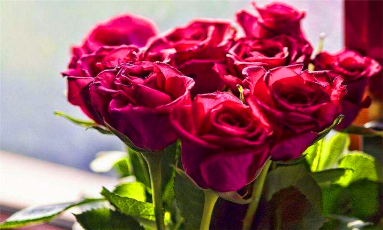 5.20送女生什么礼物