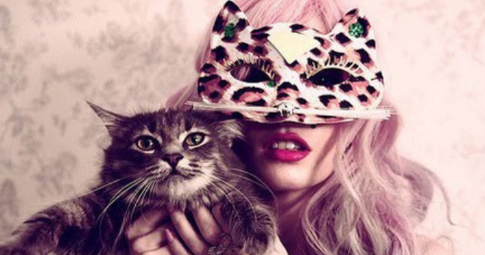 梦见被猫咬预示着什么