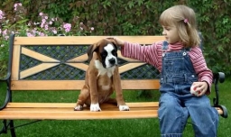 世界名犬排行榜前十