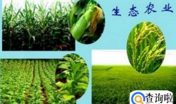 乡村振兴怎么干？