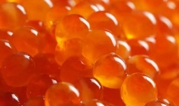 虾青素能生发吗