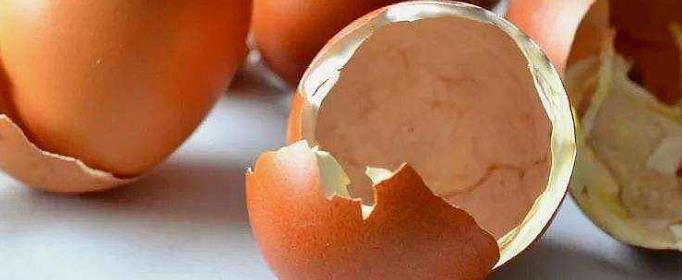 鸡蛋壳是什么物质组成的